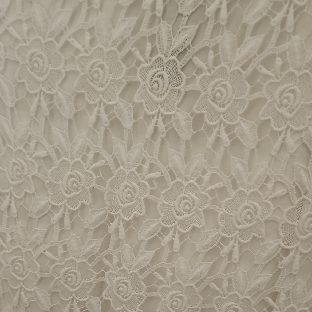 WHBM Elegant White Lace Dress - Picture 10 of 16